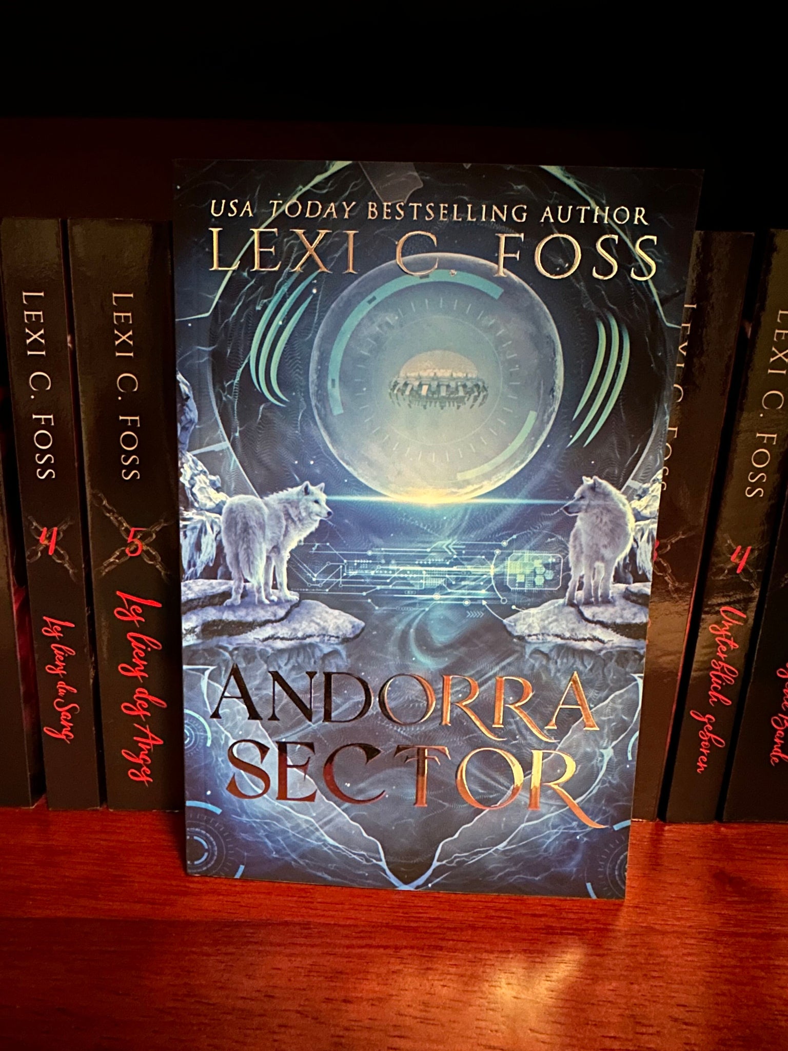 Andorra Sector Special Edition No Edging (X-Clan Series: Book 1)