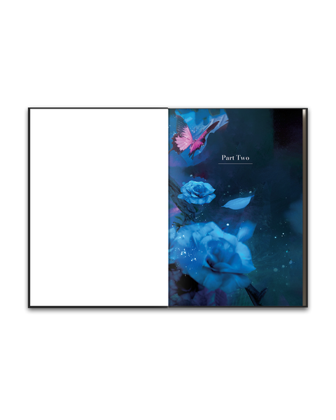 Never Kiss a Fae Limited Edition