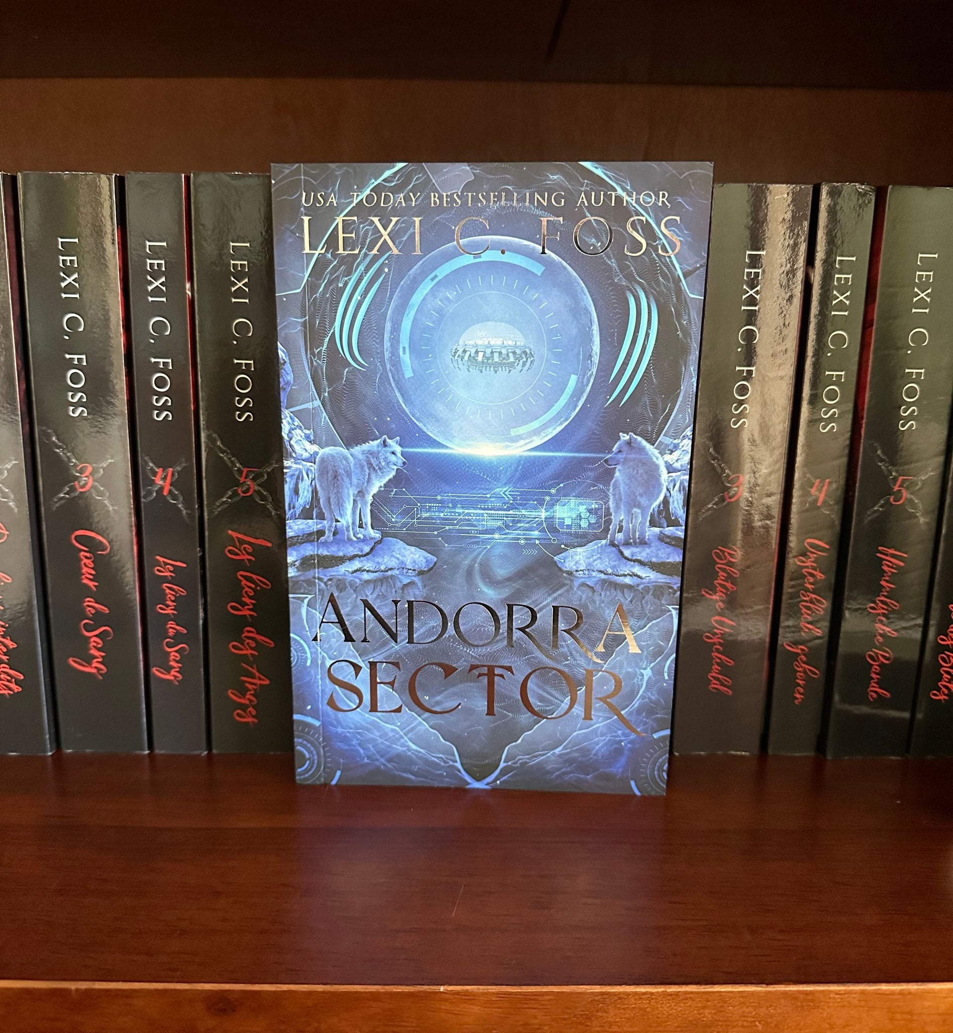 Andorra Sector Special Edition (X-Clan Series: Book 1)